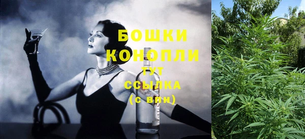 крисы Корсаков