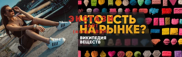 крисы Корсаков