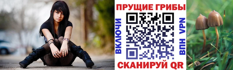 Купить  Бежецк  Галлюциногенные грибы мухоморы 