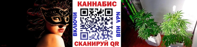 МАРИХУАНА гибрид Купить Бежецк